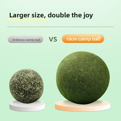 Catnip Toy Ball